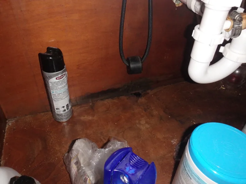 Water damage insurance claim - Rapid Public Adjusters